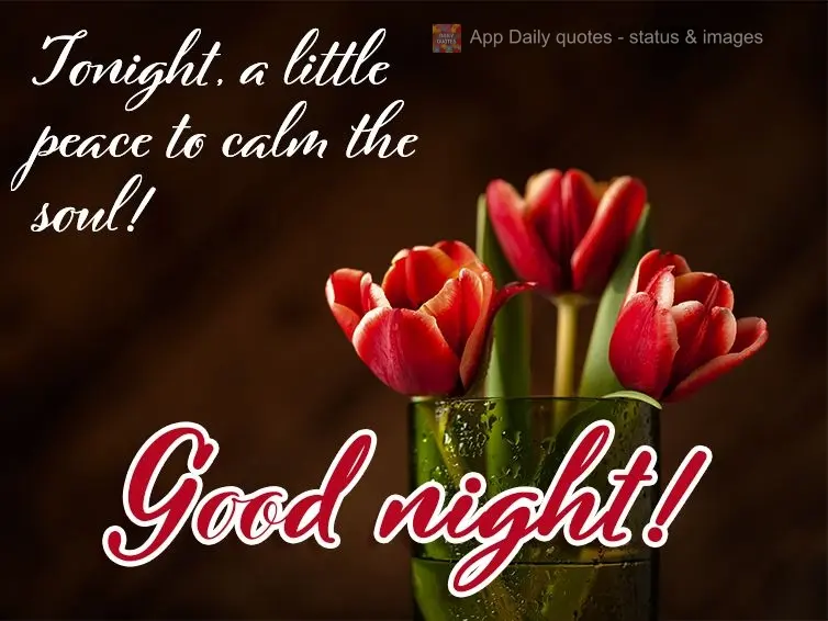 Tonight, a little peace to calm the soul! Good night!