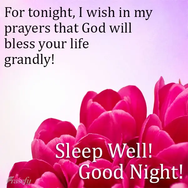 Tonight, I will ask in my prayers that God bless your life grandly! Sleep Well,  Good Night!
