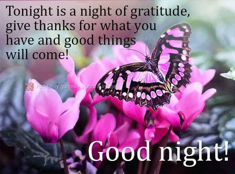 Tonight is a night of gratitude. Give thanks for what you have and good things will come!  Good night! 