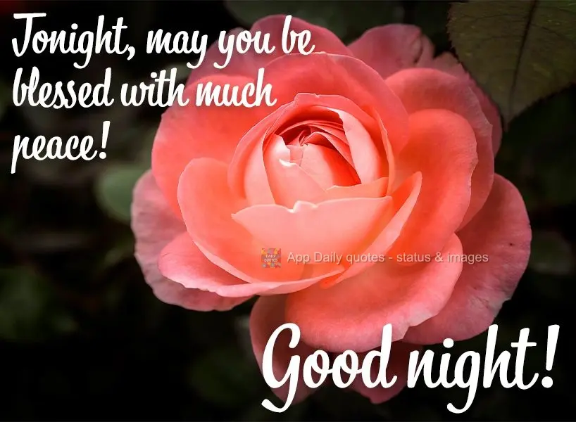 Tonight, may you be blessed with lasting peace! Good night!