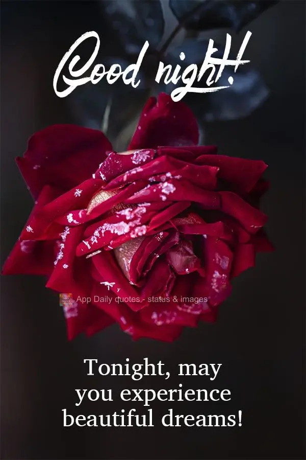Tonight, may you have beautiful dreams! Good night!