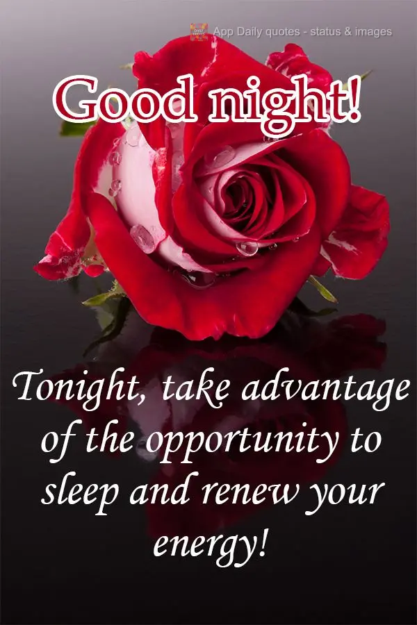 Tonight, take advantage of the opportunity to sleep and renew your energy! Good night!