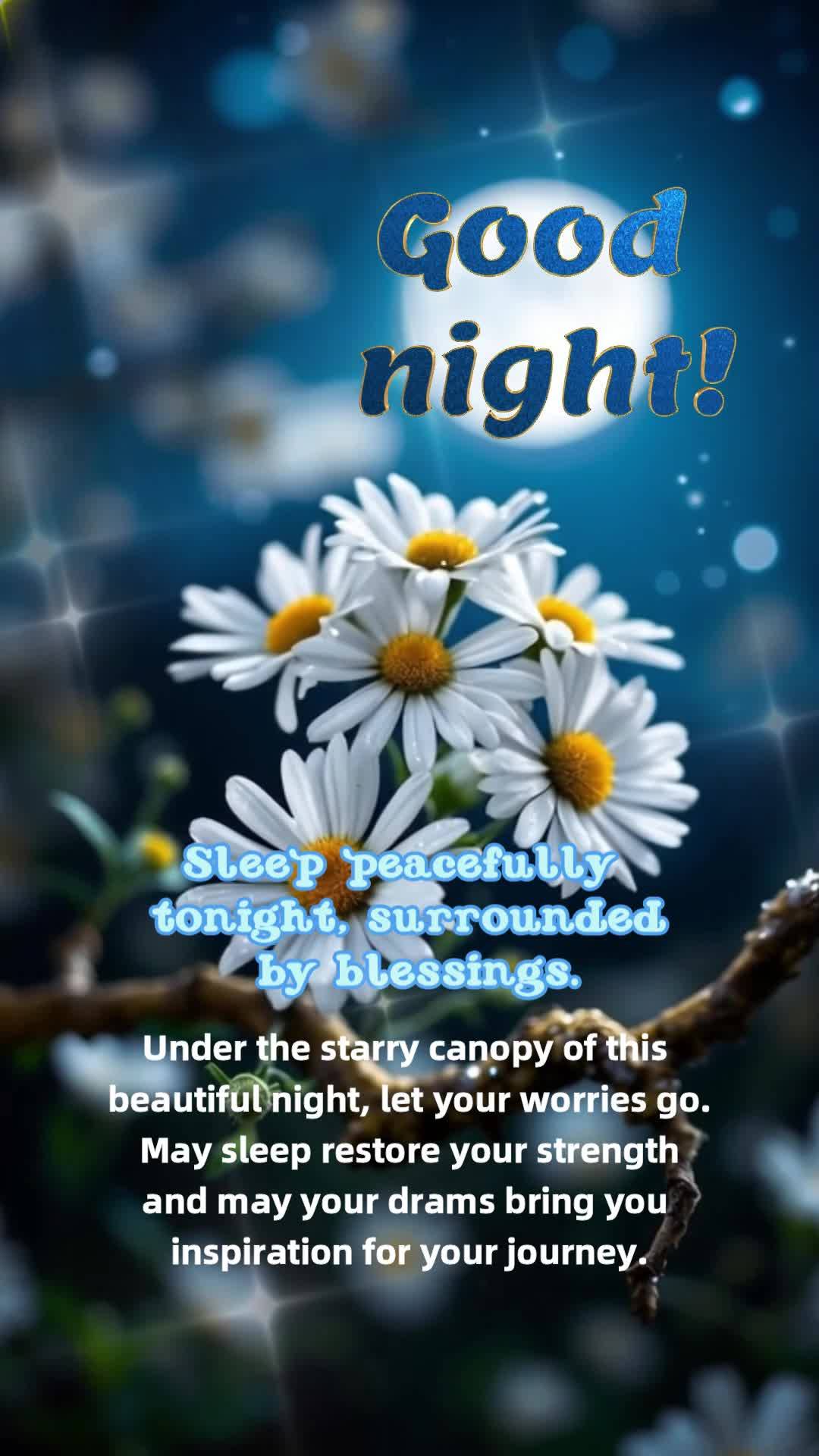 Under the starry canopy of this beautiful night, let your worries go. May sleep restore your strength and may your drams bring you inspiration for your j...