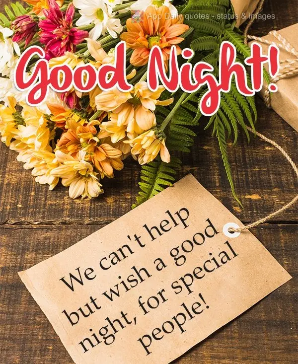 We can't help but wish a good night to special people! Good Night!