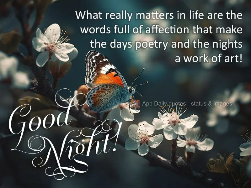 What really matters in life are the words full of affection that make the days poetry and the nights a work of art! Good night!