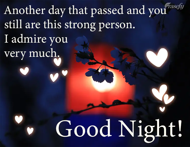 Yet another day has passed, and you are still this strong person. I admire you very much. Good Night!