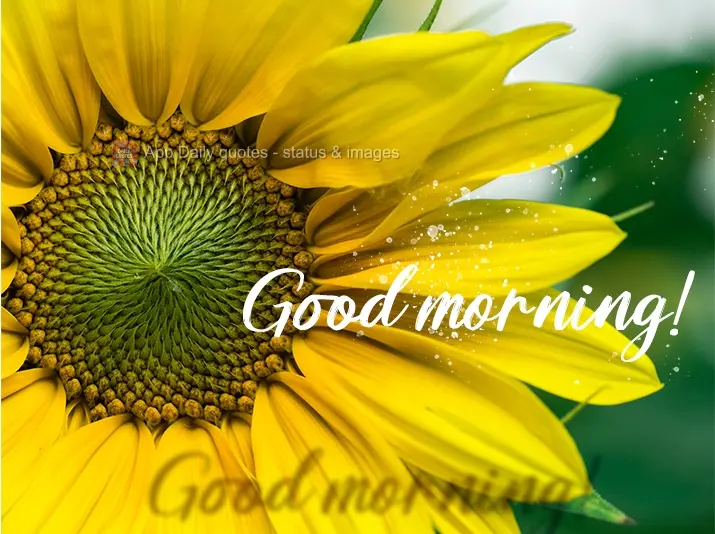 Good morning!