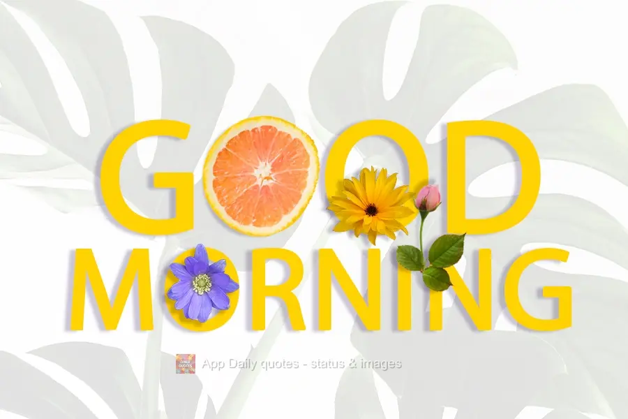 GOOD MORNING