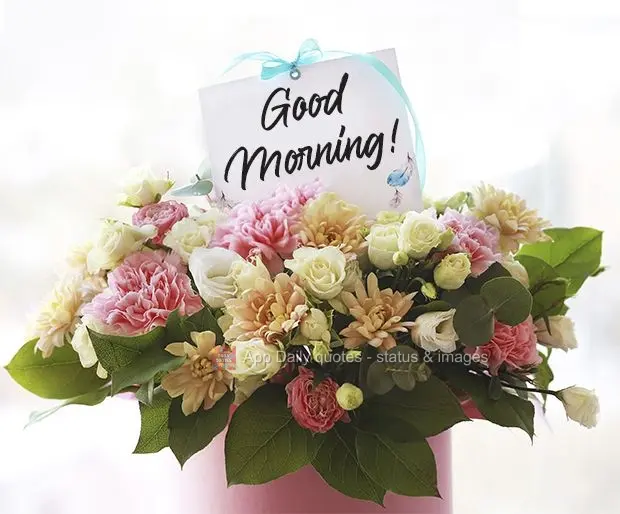 Good morning! 