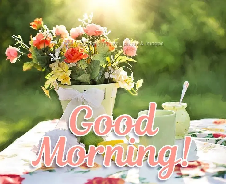 Good morning! 