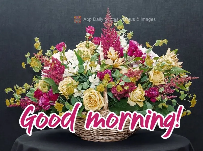 Good morning! 