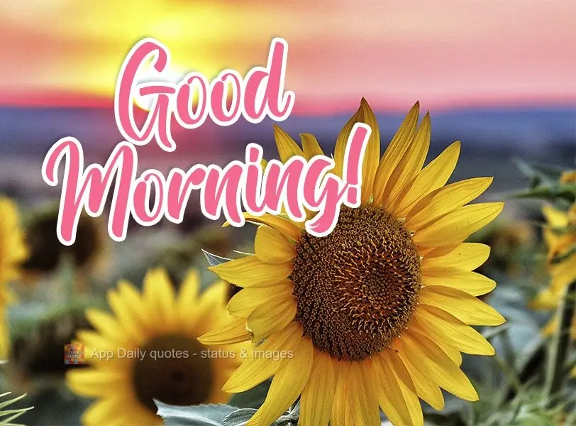 Good morning! 