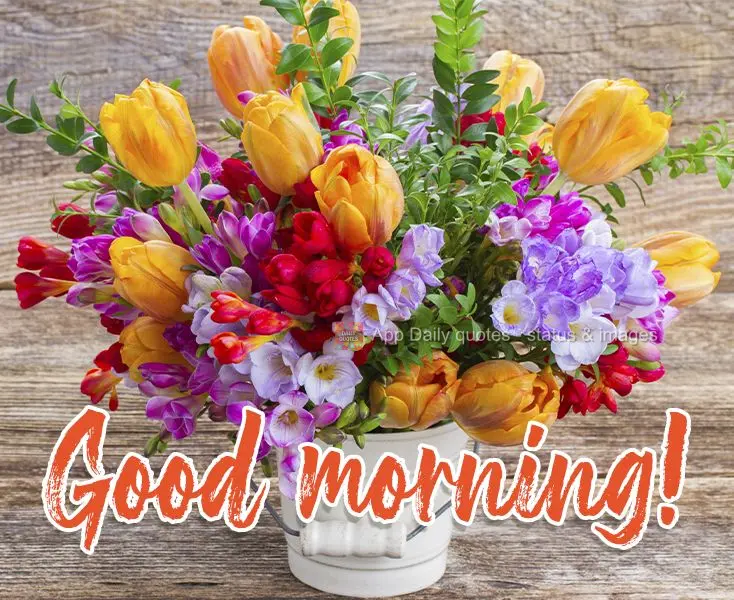 Good morning!