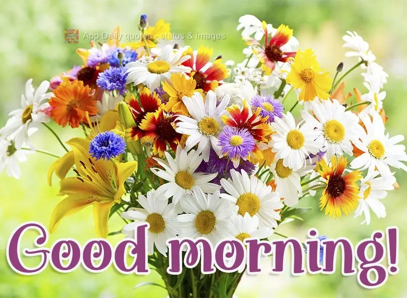 Good morning!