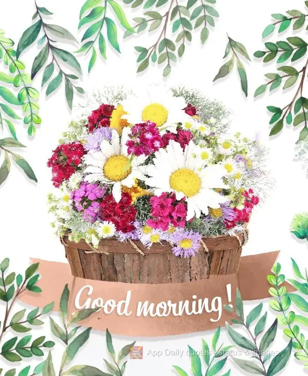 Good morning!
