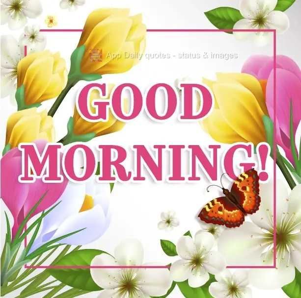 Good morning!