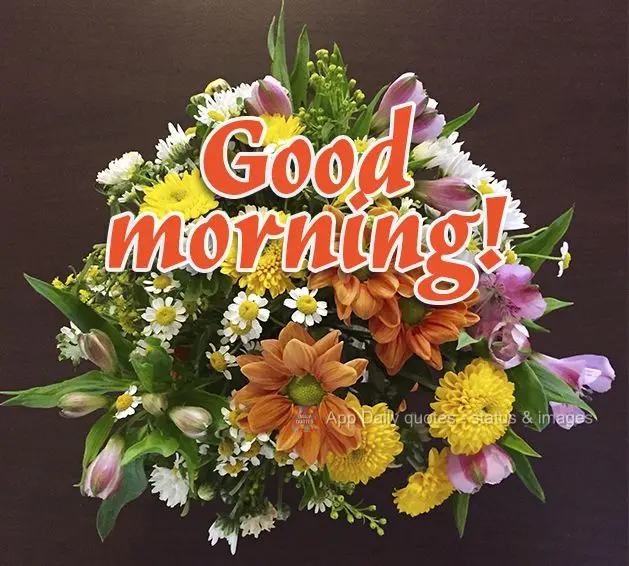 Good morning!
