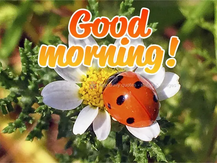 Good morning!
