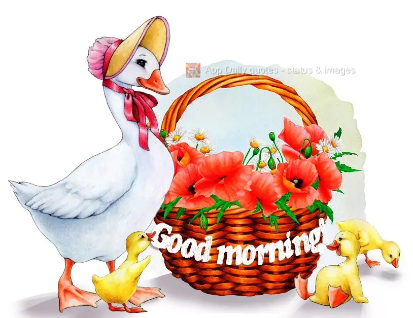 Good morning!