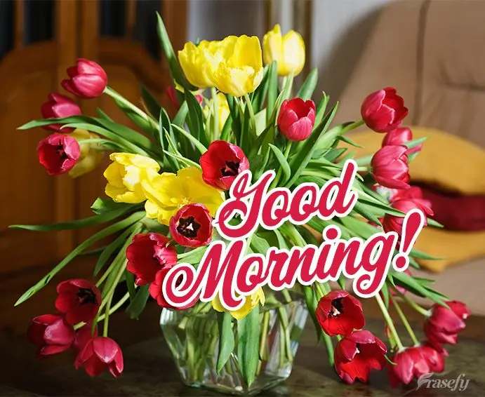 Good morning!