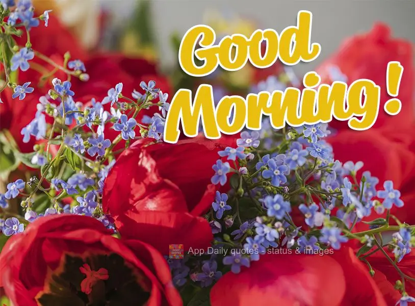 Good morning!