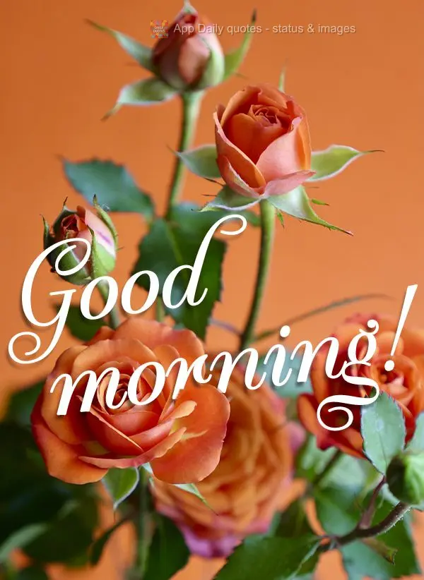 Good morning!