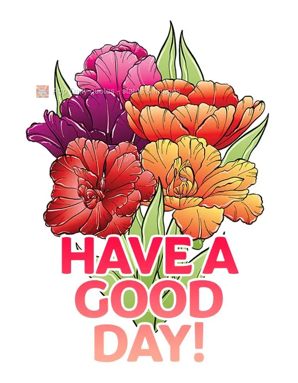 Good morning!