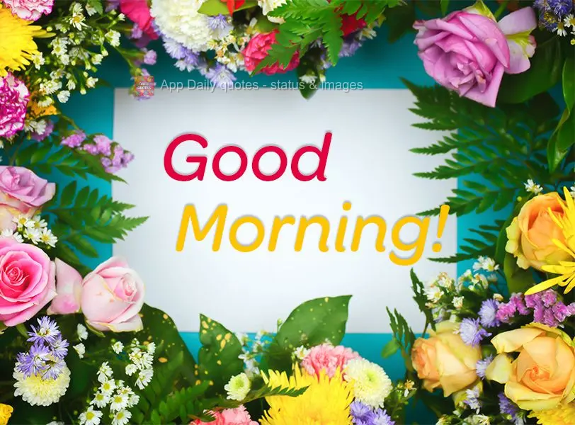 Good morning!