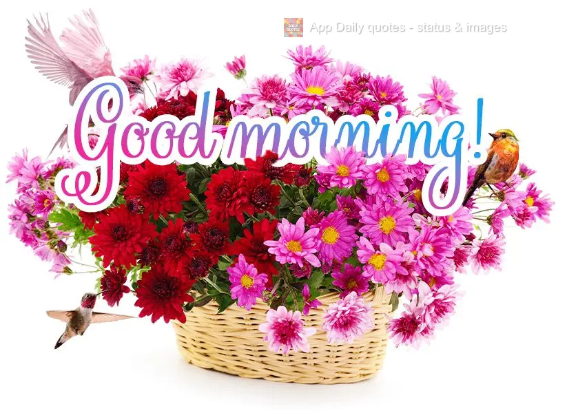 Good morning!