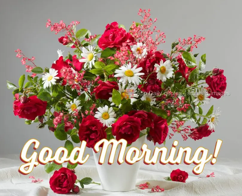 Good morning!