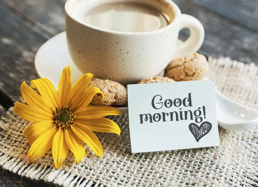 Good morning!