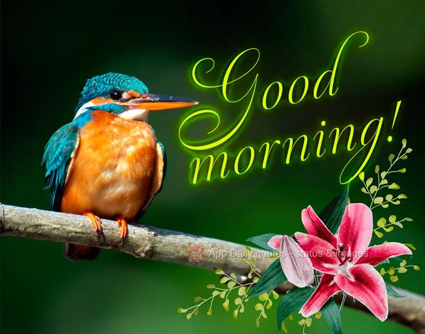 Good morning!