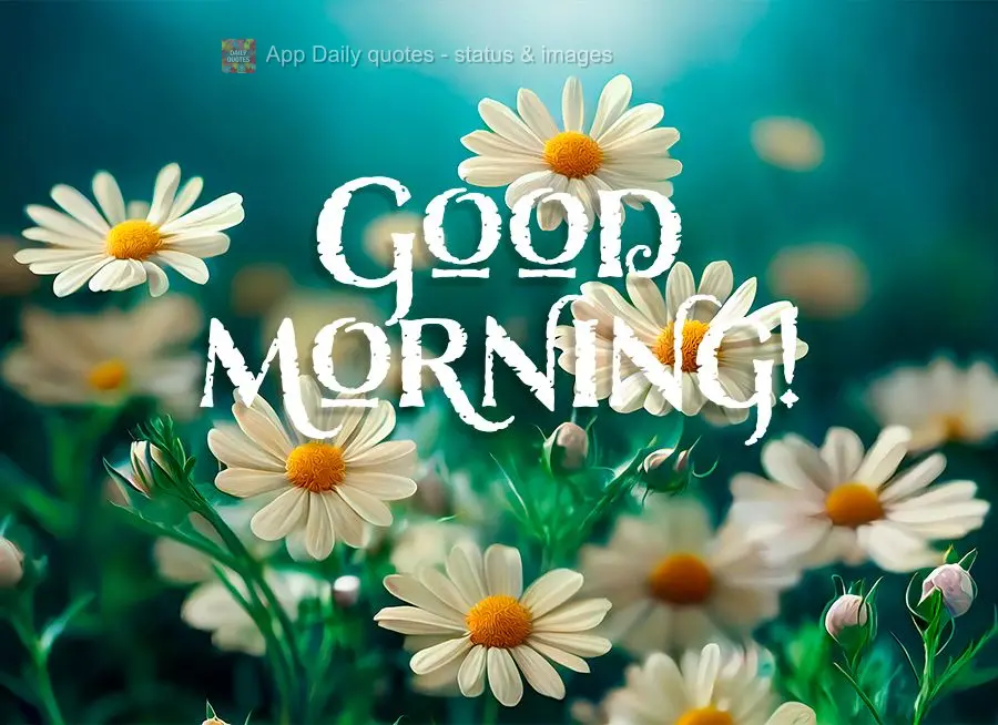 Good morning!