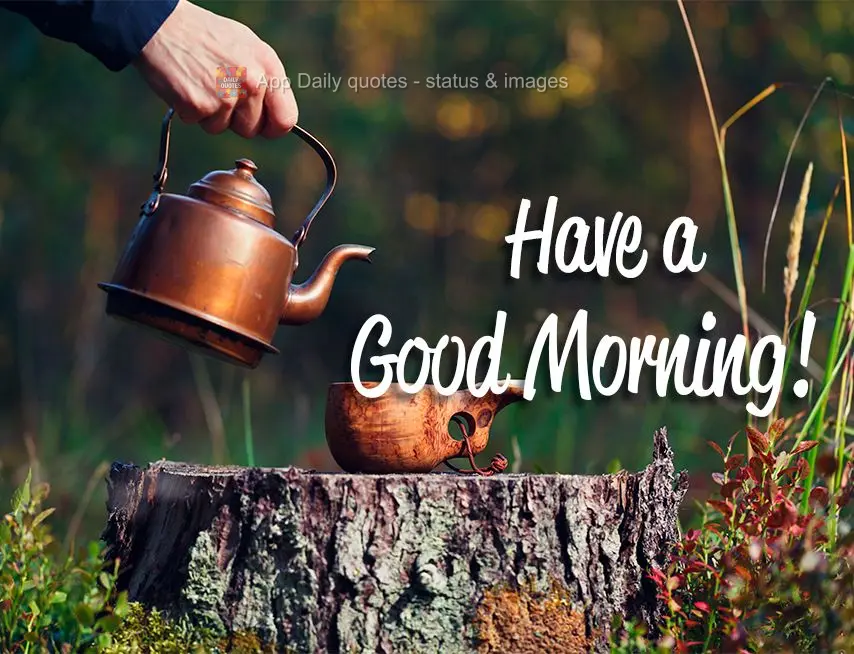 Have a good morning!