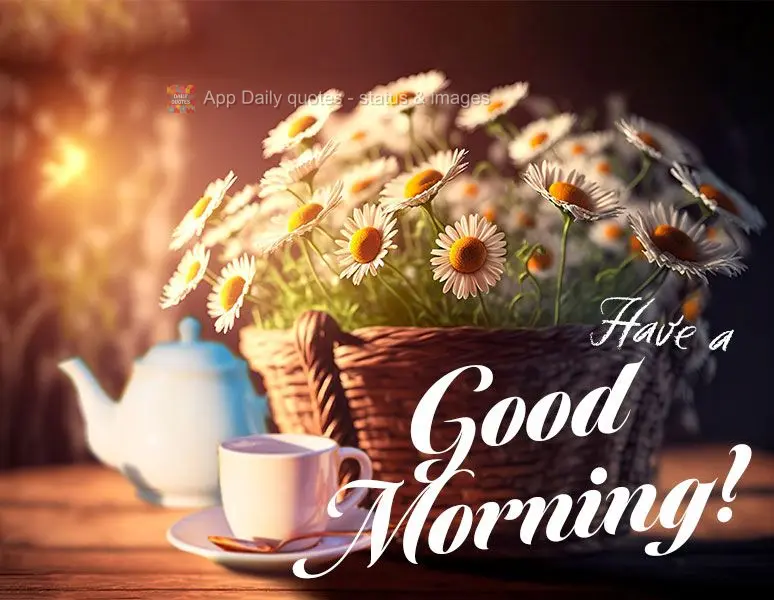 Have a good morning!