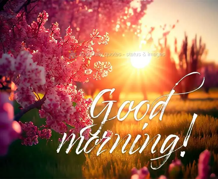 Good morning!