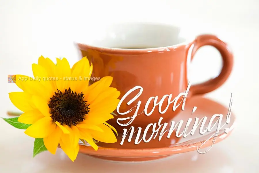 Good morning!