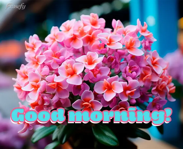 Good morning!