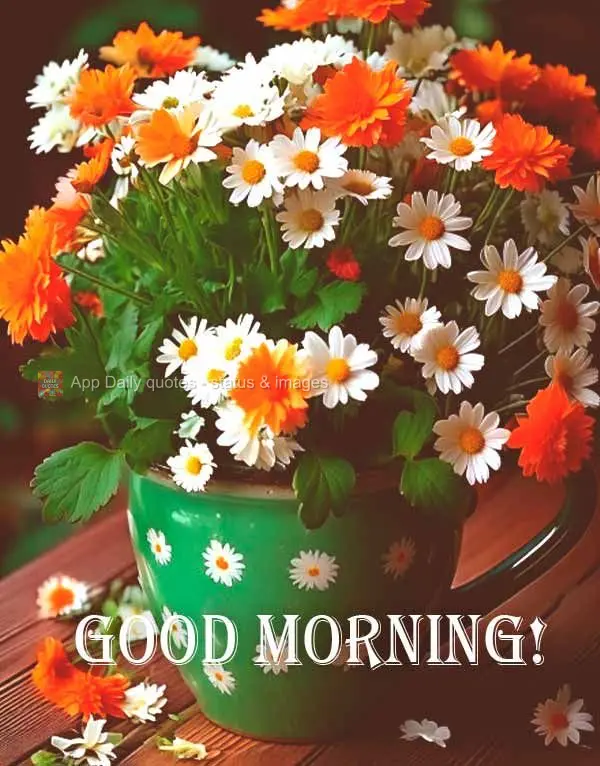 Good morning!