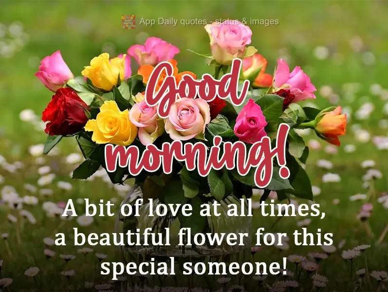 A bit of love at all times, a beautiful flower for this special someone!  Good morning! 