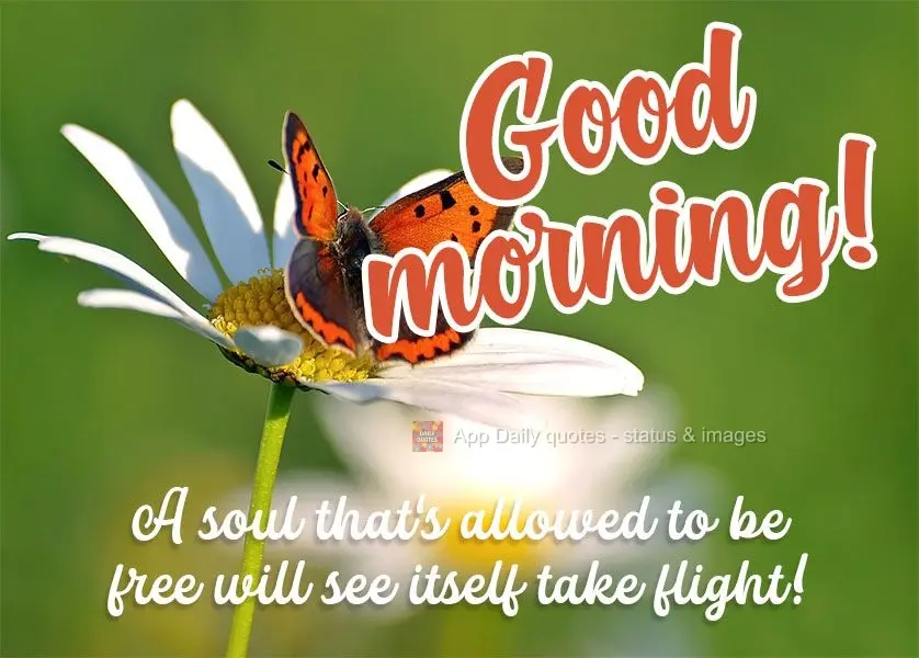 A soul that's allowed to be free will see itself take flight!  Good morning! 