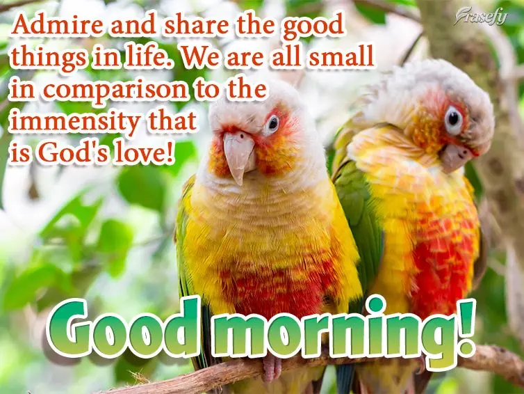 Admire and share the good things in life. We are all small in comparison to the immensity that is God's love! Good morning! 