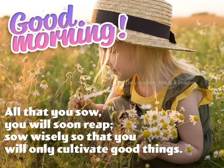 All that you sow, you will soon reap; sow wisely so that you will only cultivate good things. Good morning! 