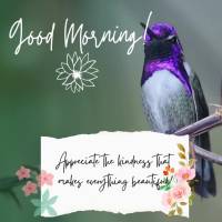 Appreciate kindness, it makes everything beautiful! Good morning!