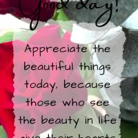 Appreciate the beautiful things today, because those who see the beauty in life give their hearts good things. Have a good day!