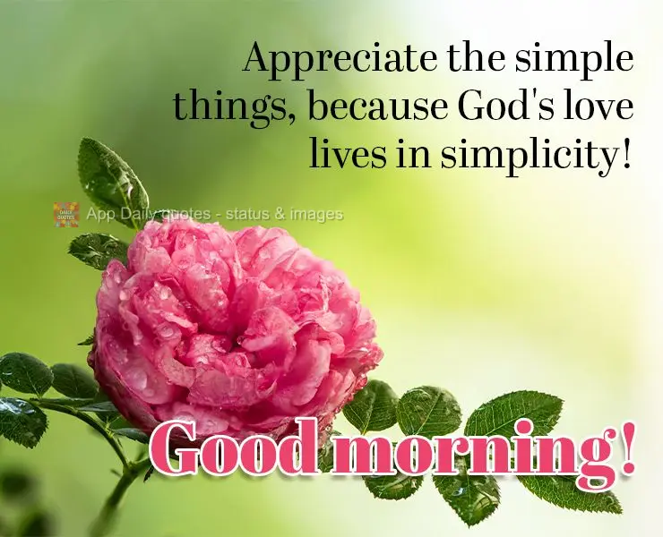 Appreciate the simple things, because God's love lives in simplicity! Good morning!