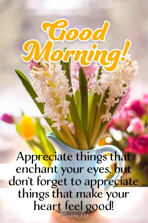 Appreciate things that enchant your eyes, but don't forget to appreciate things that make your heart feel good! Good Morning!