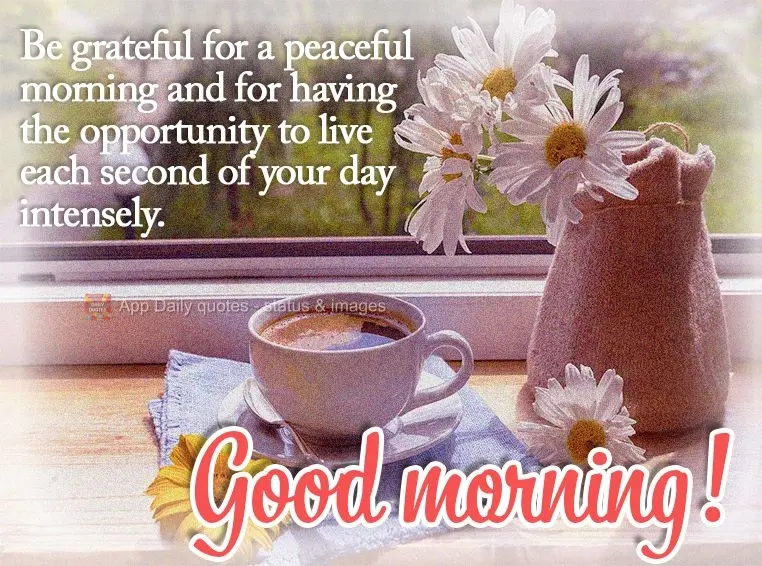 Be grateful for a peaceful morning and for having the opportunity to live each second of your day intensely. Good morning!