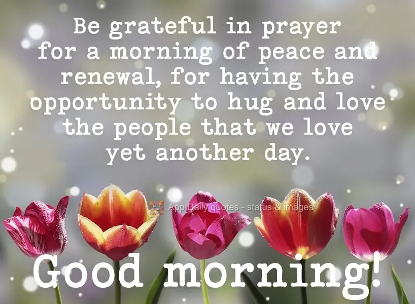Be grateful in prayer for a morning of peace and renewal, for having the opportunity to hug and love the people that we love for yet another day. Good mo...