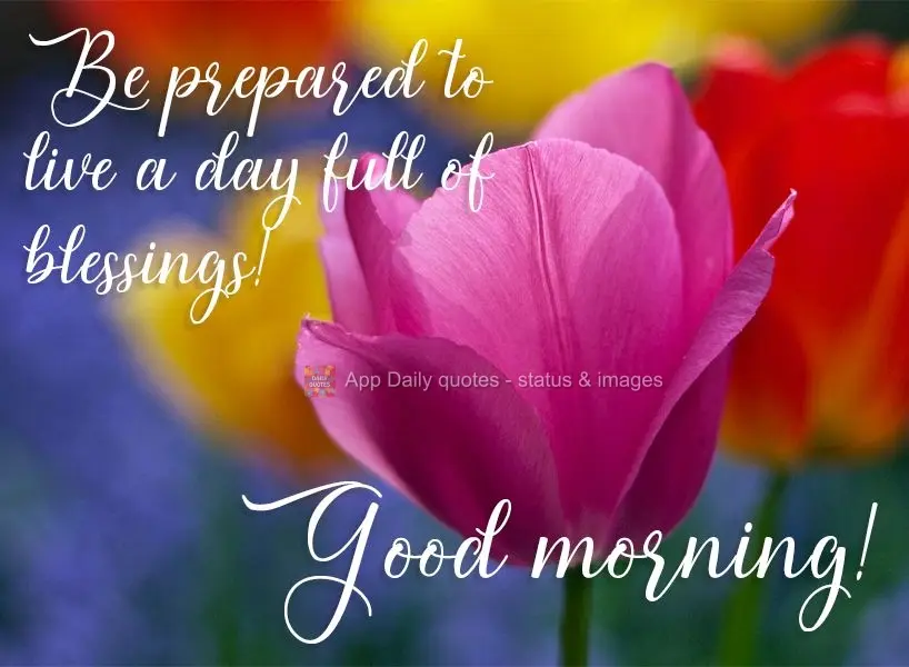 Be prepared to live a day full of blessings!  Good morning! 